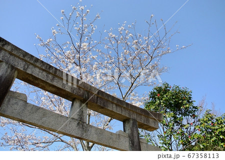 【高知】武市半平太の墓と瑞山神社の鳥居 67358113