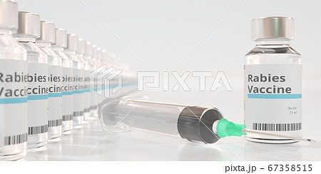Glass vials with rabies vaccine and a syringe. 3D rendering Glass vials with rabies vaccine and a syringe. 3D rendering 67358515