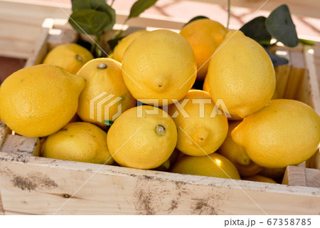 Pile of fresh lemons in wooden box prepared for making homemade lemonade Pile of fresh lemons in wooden box prepared for making homemade lemonade 67358785