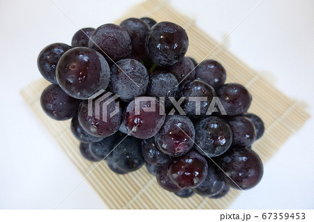 ぶどう　ブドウ　葡萄 67359453