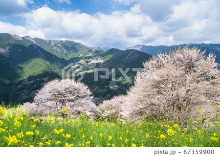 ひょうたん桜公園からの眺めの写真素材