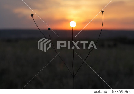 sunset in the cloudy sky above the industrial city sunset in the cloudy sky above the industrial city 67359962