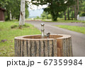森林公園の水道 67359984