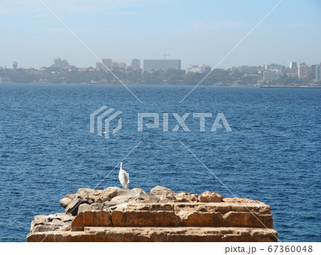 セネガルのゴレ島の景色 67360048