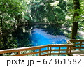 白神山地十二湖青池 67361582