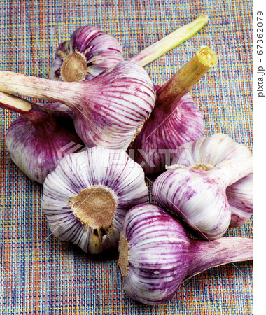 Fresh Garlic Bulbs 67362079