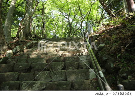 大山阿夫利神社　参道 67362638