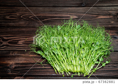 Cutted microgreen pea sprouts on old wooden table. Vegan and healthy eating concept. Growing sprouts 67362881