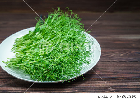 fresh cutted pea microgreen sprouts on plate on wooden surface 67362890