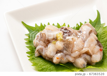 大葉(青じその葉)の上に、たこわさび。(白バック) 67363520