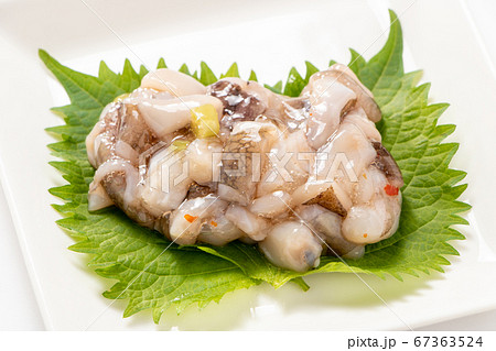 大葉(青じその葉)の上に、たこわさび。(白バック) 大葉(青じその葉)の上に、たこわさび。(白バック) 67363524