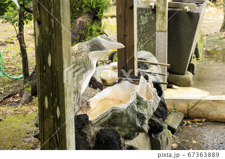 珍品（巨大貝）の手水舎 67363889