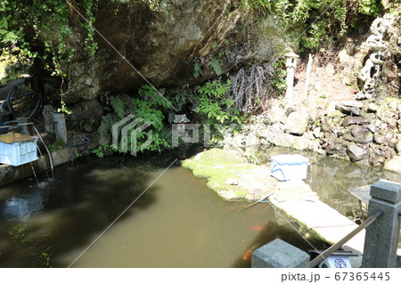 大山阿夫利神社　大山寺　倶利伽羅の滝 67365445