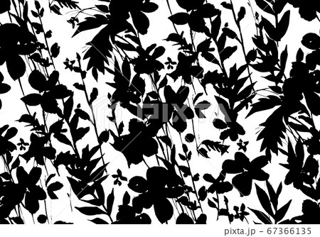 Floral seamless pattern with flower silhouettes 67366135