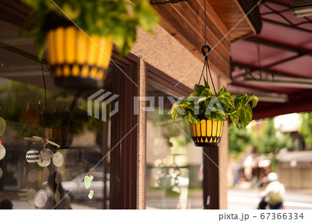 店先の風景 67366334
