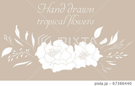 Vector composition of hand drawn tropical flowers, 67366440