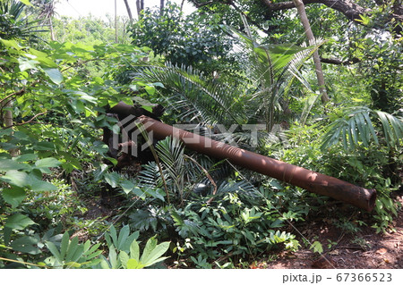 母島の戦跡 67366523