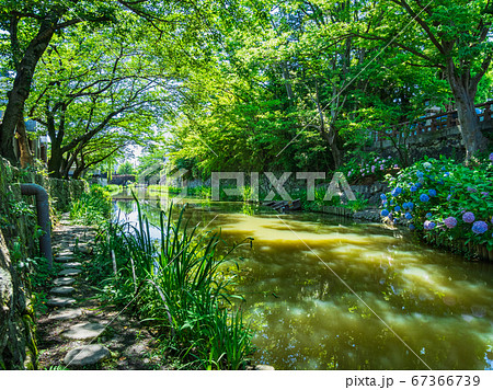 近江八幡　八幡堀 67366739