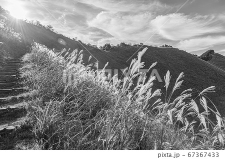 （セピア）秋の曽爾高原を散策する 67367433