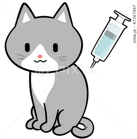 注射を打つ猫のイラスト素材