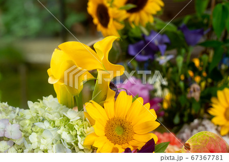 京都市東山区の東福寺搭頭勝林寺で撮影した花手水 京都市東山区の東福寺搭頭勝林寺で撮影した花手水 67367781