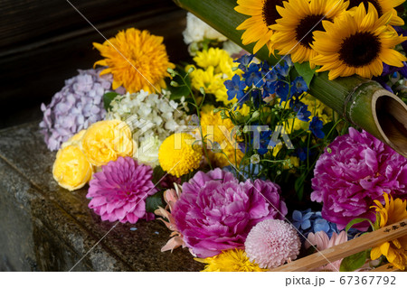 京都市東山区の東福寺搭頭勝林寺で撮影した花手水 67367792