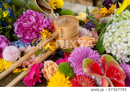 京都市東山区の東福寺搭頭勝林寺で撮影した花手水 京都市東山区の東福寺搭頭勝林寺で撮影した花手水 67367795