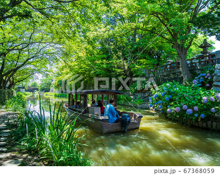 近江八幡 八幡堀 近江八幡 八幡堀 67368059