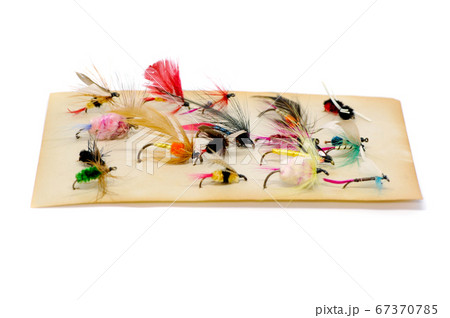 Fly for fishing on white background . Fly for fishing on white background . 67370785
