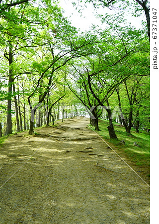 松本市 弘法山古墳 松本市 弘法山古墳 67371047