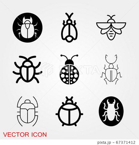 Beetle icon. Insect design, insect icons vector Beetle icon. Insect design, insect icons vector 67371412