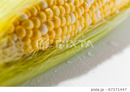 Yellow Corn Cob Closeup, Macro Shot on the white 67371447