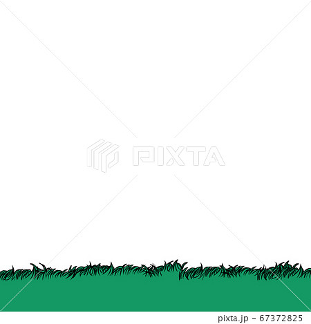 Green grass background 67372825