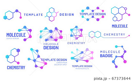 Molecule logos. Chemistry and science logotype with hexagonal structure and molecular grids templates 67373644