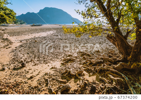 Sunset scenery of El Nido shore during low tide. Palawan, Philippines Sunset scenery of El Nido shore during low tide. Palawan, Philippines 67374200