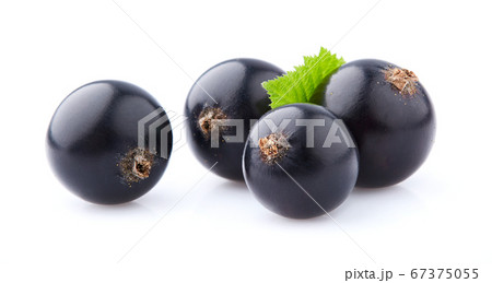 Black currant fruit with leaf isolated on white 67375055