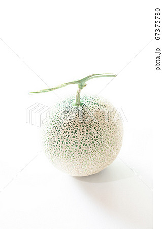 ネットメロン・アンデス 67375730