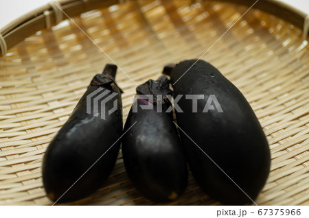 茄子 茄子 67375966