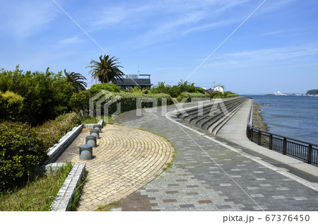 海辺の遊歩道　防潮堤　長井海岸高潮対策施設　 67376450