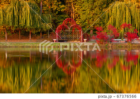 Autumn in the park Autumn in the park 67376566