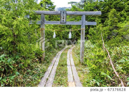 志賀山神社鳥居 志賀山神社鳥居 67376628