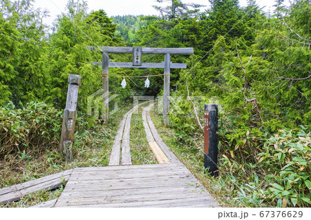志賀山神社鳥居と分岐 67376629