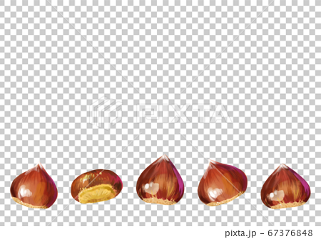 背景透過済みベクター 秋の食べ物 栗イラストのイラスト素材