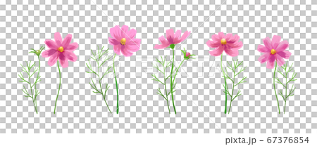 Background Transparent Vector Autumn Flowers Stock Illustration