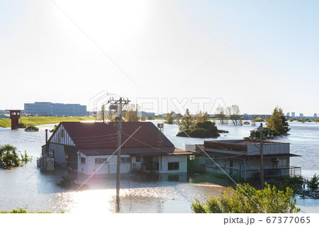 台風19号豪雨水害　荒川河川敷 67377065