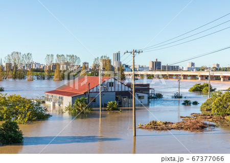 台風19号豪雨水害 荒川河川敷 台風19号豪雨水害 荒川河川敷 67377066