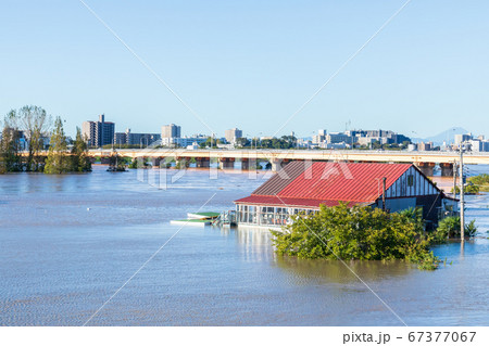 台風19号豪雨水害　荒川河川敷 67377067