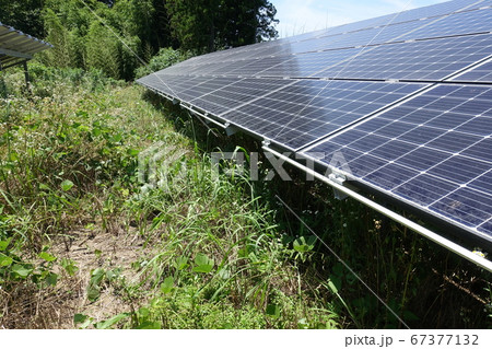 雑草の影響を受けた太陽光発電所 雑草の影響を受けた太陽光発電所 67377132