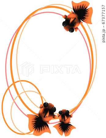 橙色の金魚のタテ向きフレーム 橙色 のイラスト素材