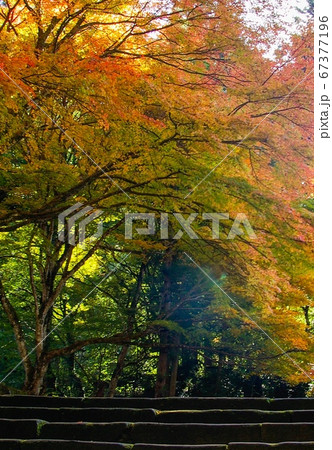 永明寺 永明寺 67377196